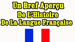 Miniature : Un Bref Aperçu De l'Histoire De La Langue Française