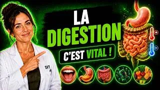 Miniature : La Digestion : Tout Comprendre pour le Brevet (SVT 3e)