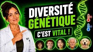 Miniature : La Diversité Génétique : Tout Comprendre pour le Brevet (SVT 3e)