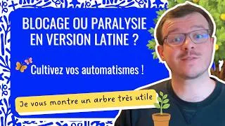 Miniature : Version latine : pourquoi vous bloquez (et comment s'en sortir)