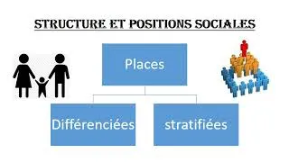 Miniature : La structure sociale
