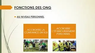 Miniature : Les associations de la société civile: les ONG
