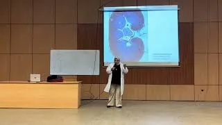 Miniature : Histologie de l'appareil urinaire partie I