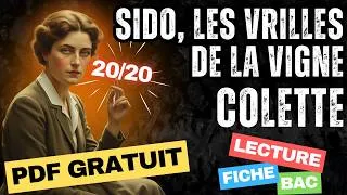 Miniature : ✨SIDO & LES VRILLES DE LA VIGNE de COLETTE - FICHE DE LECTURE  20/20 au bac français !
