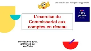 Miniature : L’exercice du Commissariat aux comptes en réseau