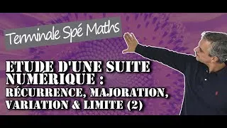Miniature : Etude d'une suite Numérique - Récurrence, majoration, variation et limite (2)