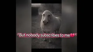Miniature : « Aide-moi à réaliser mon rêve 🥺❤️Peux-tu t’abonner pour me soutenir ? »