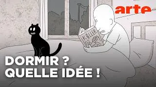 Miniature : Putain de chat #06 | Folie nocturne !| ARTE
