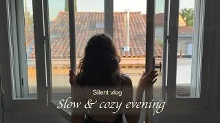 Miniature : My slow & cozy evening in a busy week 🍓🍧| Quiet summer night in France🌙