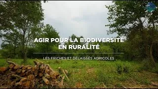 Miniature : Projet "Friches et délaissés agricoles" 🍃​