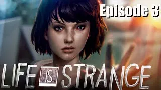 Miniature : Let's play : Life is Strange [Episode 3] On approche vers quelque chose de grand...