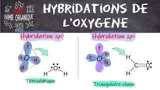 Miniature : #74 Les hybridations de l'oxygène