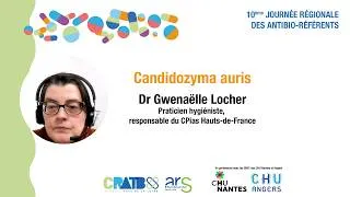 Miniature : Dre Gwenaëlle Locher, Candidozyma auris