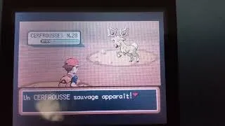 Miniature : [66] Cerfrousse Shiny - 1356 RE's - Pokemon Rouge Feu (08/07/2022)