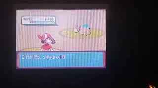 Miniature : [65] Chamallot Shiny - 963 RE's - Pokemon Rubis (24/06/2022)