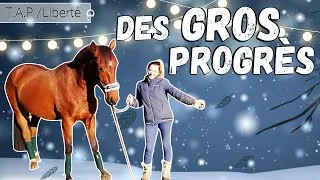 Miniature : J'augmente la difficulté du travail à pied avec Django!!
