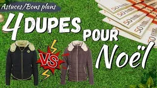 Miniature : 💸 4 dupes équestres complètement dingues!!(VEREDUS, PENELOPE, DYON, KENTUCKY)