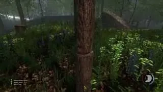 Miniature : The Forest | La grotte au cadavre!!