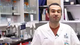 Miniature : Zoom sur la recherche contre le cancer