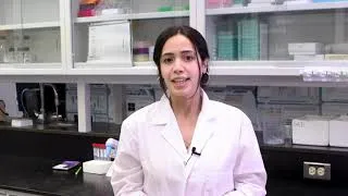 Miniature : Zoom sur la recherche contre le cancer: comment rendre la chimiothérapie plus efficace?
