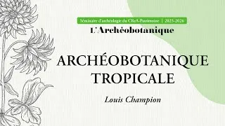 Miniature : Archéobotanique tropicale