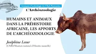 Miniature : Humains et animaux dans la Préhistoire africaine, les apports de l’archéozoologie