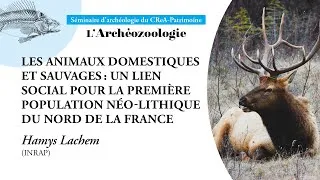 Miniature : Les animaux domestiques et sauvages : un lien social pour la première population néolithique
