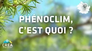 Miniature : Science participative : observer les arbres au fil des saisons - Webinaire Phénoclim
