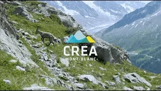 Miniature : Projet HerbiLand, coexister en altitude