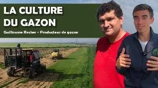Miniature : La Culture du Gazon – Avec un Producteur d’Île-de-France
