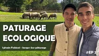 Miniature : Pâturage Écologique : Le Rôle Surprenant des Bergers