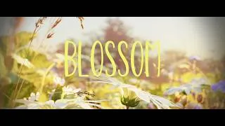 Miniature : CREATIVE SEEDS | BLOSSOM |  Film de fin d'études 2025