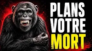 Miniature : Pourquoi vous devriez être terrifié par les chimpanzés | La vérité que personne ne vous dit