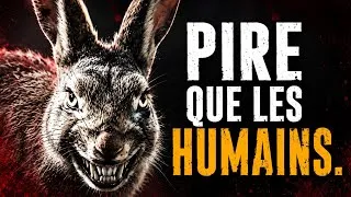 Miniature : Pourquoi Vous Devriez Être Terrifié Par Les Lapins (La Vérité Cachée)