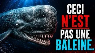 Miniature : Pourquoi vous devriez être terrifié par les cachalots