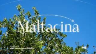 Miniature : Maltacina : De la passion à l'étoile Michelin ⭐ | Portrait d'entrepreneurs engagés