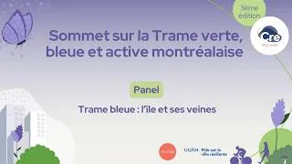 Miniature : 3e Sommet TVBA : l'île et ses veines