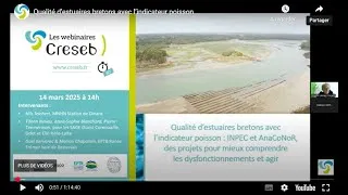 Miniature : Qualité d’estuaires bretons avec l’indicateur poisson