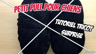 Miniature : Tutoriel Surpise Pour Chiens Spécial Fêtes