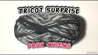 Miniature : Tricot Surprise: Laine Special Coloris