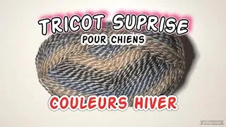 Miniature : Tricot Surprise: Un Pull Pour Taylor Qui Est Très Triste...