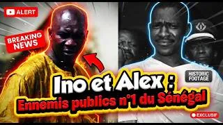 Miniature : Ino et Alex : La véritable histoire des ennemis publics n°1 du Sénégal
