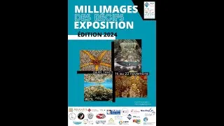 Miniature : MILLIMAGES DES RECIFS - VERNISSAGE 2024