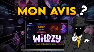 Miniature : MON AVIS sur WILDZY après plusieurs tests… 😳