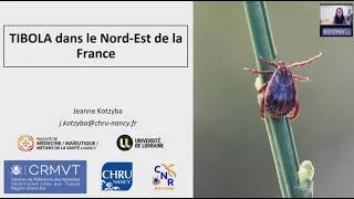Miniature : Tibola dans le Nord-Est de la France