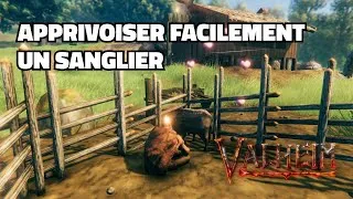 Miniature : Valheim - Comment apprivoiser facilement un sanglier ? Voici le guide du domptage ! (Ultrawide 21:9)