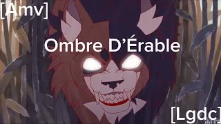 Miniature : [Amv] Ombre D’Érable-Darkside [Lgdc]