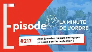 Miniature : MDO 217 - Retour sur l'accueil des nouveaux inscrits et la journée annuelle du stage !