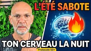 Miniature : L'été sabote le nettoyage de ton cerveau la nuit