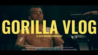 Miniature : GORILLA VLOG – Le Gorillox : la compétition qui a détruit la box